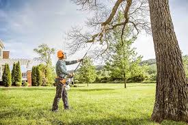 Best Tree Risk Assessment  in Bradford Woods, PA